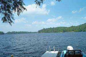 Enlarged view of image