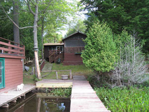 Enlarged view of image