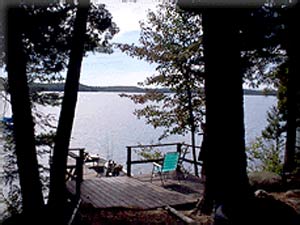 Enlarged view of image