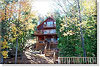 cabin,cottage,camp rentals,adirondack lake placid, new york, saranac lake vacation rentals,waterfront vacation rentals,lakefront,lakeview rentals,home vacation rentals
