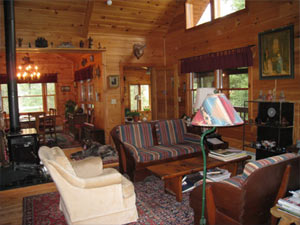Enlarged view of image
