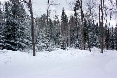 adirondack land