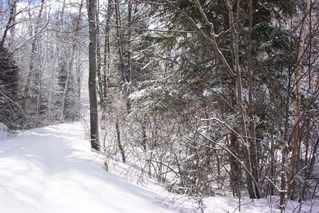 saranac lake dream properties