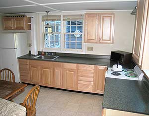 Enlarged view of image