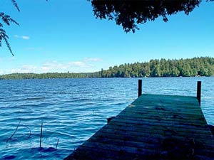 Enlarged view of image